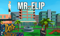 Mr Flip